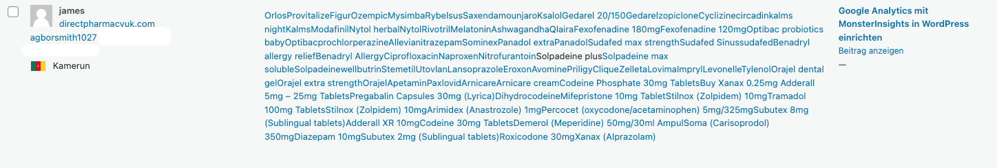 Spam Beispiel bei WordPress