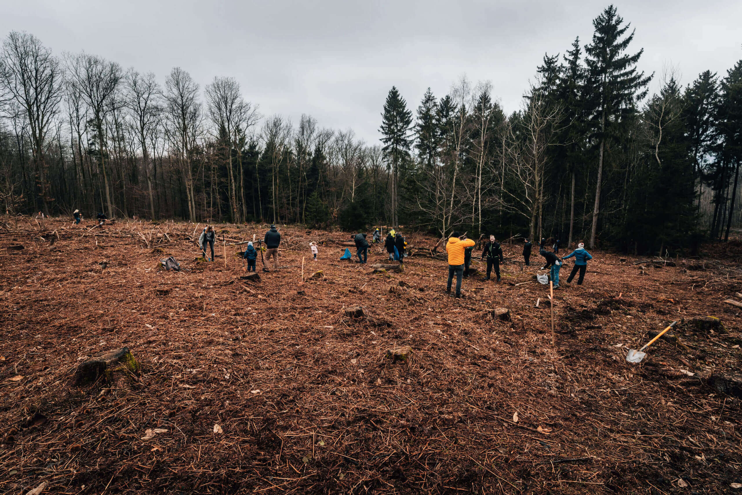 Start der Aktion Klimawald