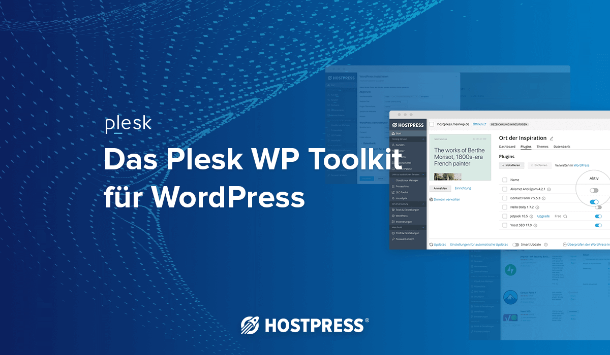 Das Plesk WP Toolkit für WordPress