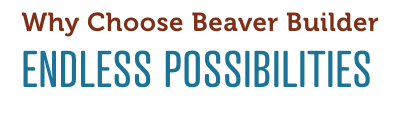 Beaver Buidler im Test