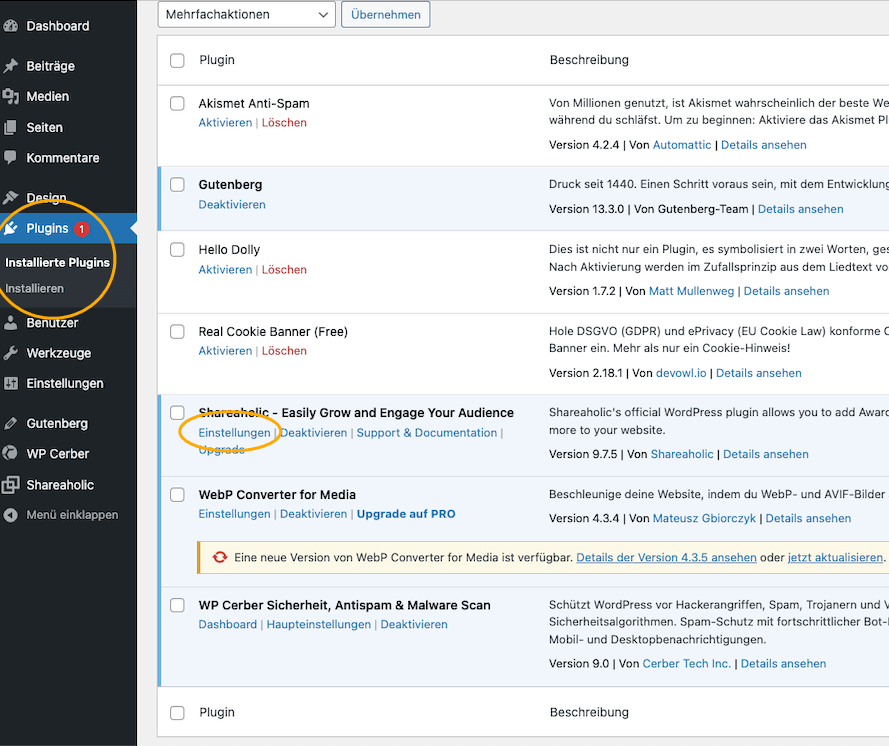 WordPress Plugins suchen und installieren - hier kommst du zu den Einstellungen.