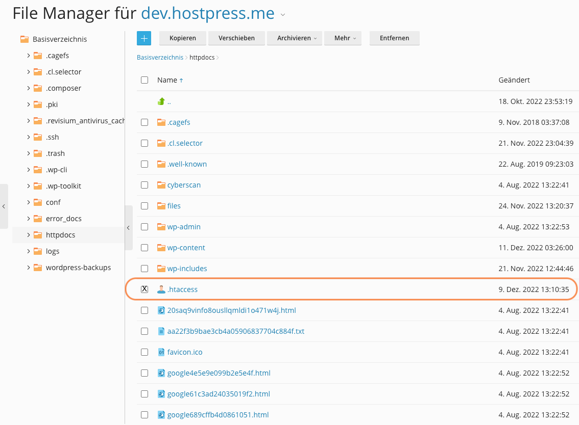.htaccess im Plesk finden