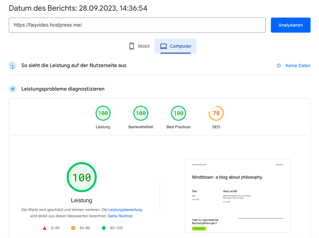 Google PageSpeed Insights Webseiten Analyse